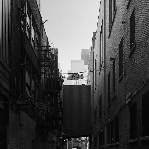 city grayscale photography of pathway surrounded by building black-and-white