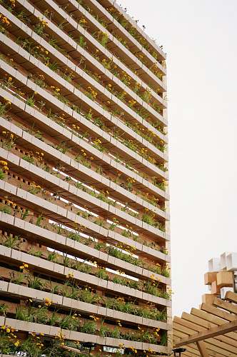 city green leaf plants near buildings high rise