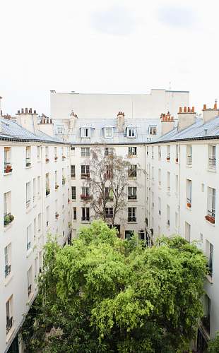 city green trees between buildings high rise