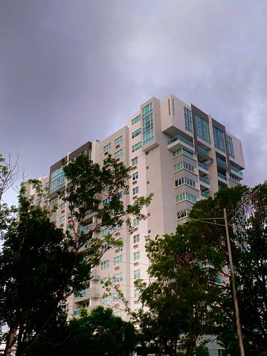 city green trees high rise