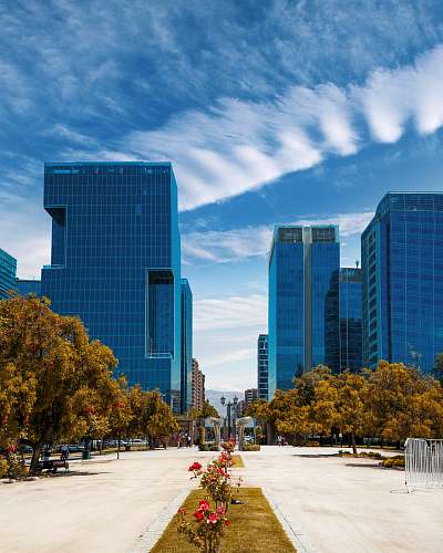 city green trees in front curtain wall buildings during daytime downtown