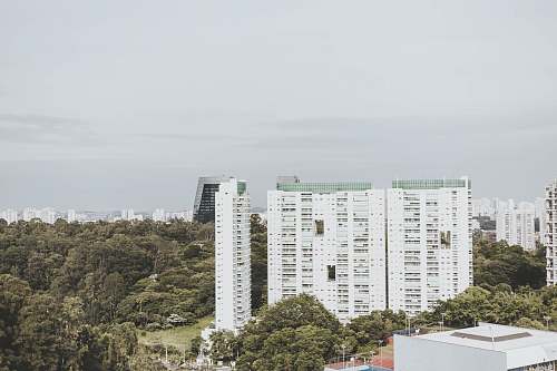 city high-angle photography of white high-rise building high rise