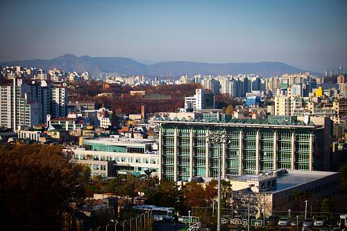 city high-rise buildings beside trees town