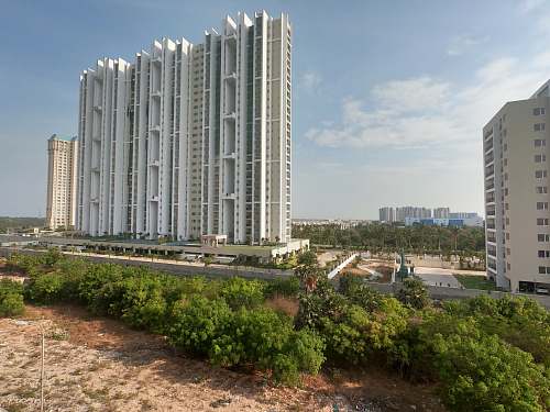 city high-rise buildings surrounded by trees high rise