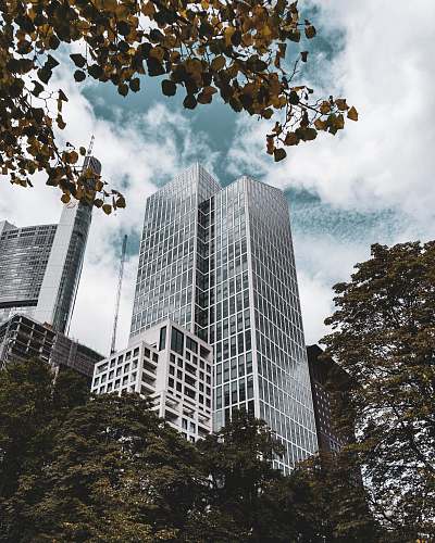 city high-rise buildings under white sky urban