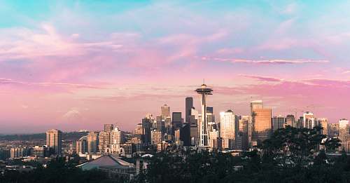city highrise buildings under pink and blue sky during daytime town