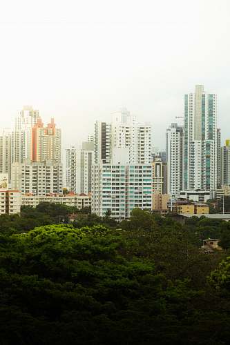 city landscape photo of white buildings high rise