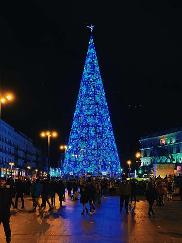 downtown lighted Christmas tree town