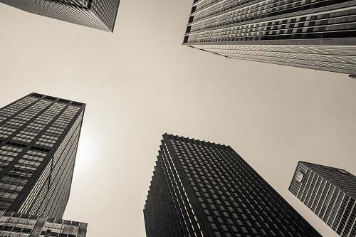 skyscraper low angle and grayscale photography of high-rise buildings architecture