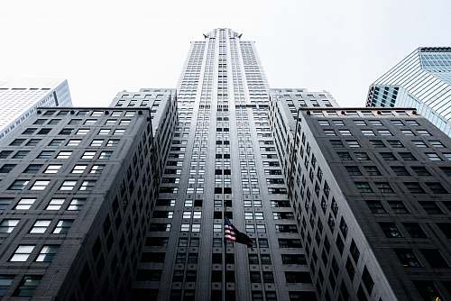 city low angle photo of gray concrete high-rise building architecture