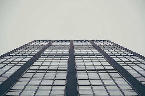 grey low-angle photography of building office building