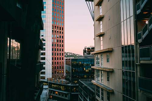 city low-angle photography of buildings during daytime high rise