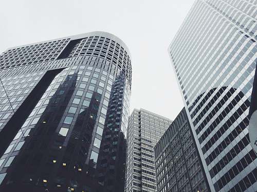 city low-angle photography of glass window buildings skyscraper