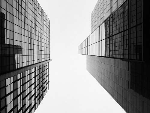 city low angle photography of two glass curtain buildings black-and-white