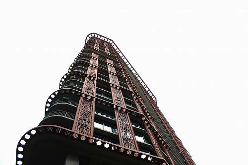 city low angle view photography of gray and brown building high rise