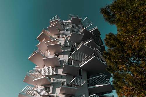 city low angle view photography of white building urban