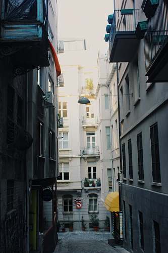 city pathway between buildings at daytime road