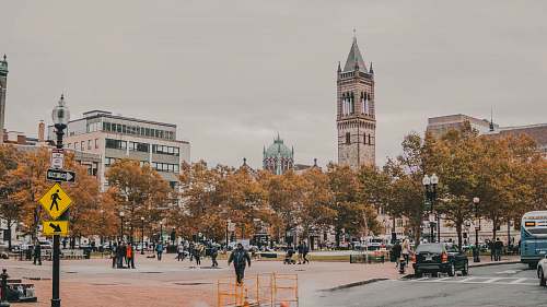 city people walking bear trees at daytime downtown