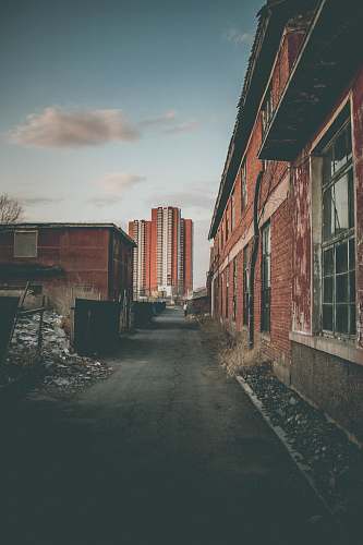city photo of brown and white building road