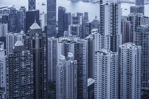 city photo of city view high rise