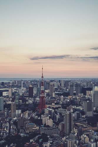 city red tower with buildings urban