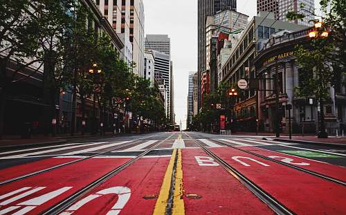 road red, white, and gray road street