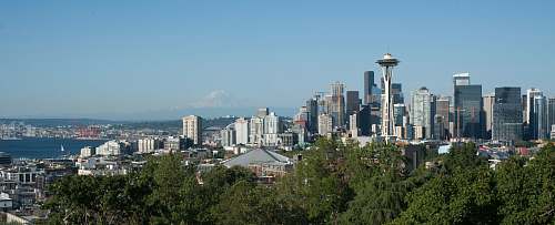 city Seattle buildings under blue sky urban