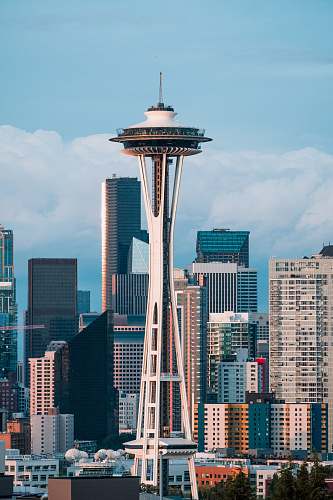 city Space Needle near buildings at daytime urban