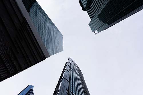 city structural shot of buildings urban