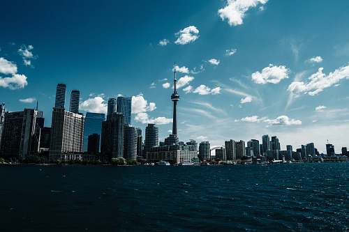city tower and buildings near blue sea high rise