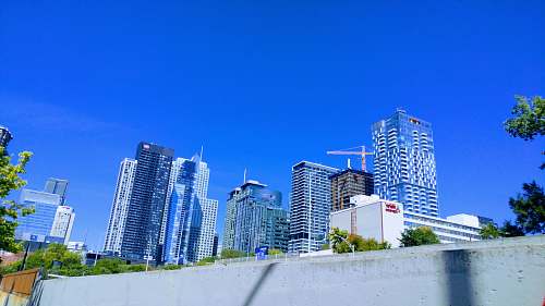 city white and gray high rise buildings high rise