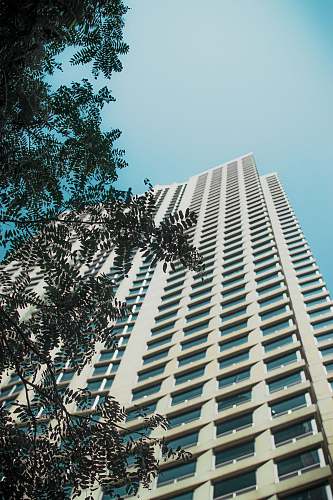 city white high-rise building office building