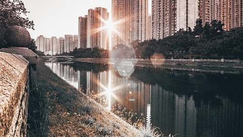 light  flare