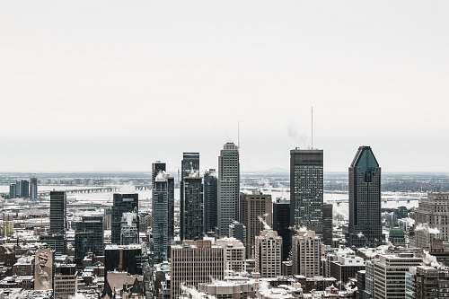 urban aerial photography of of city buildings during daytime town