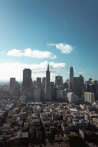 landscape aerial view photography of highrise building nature