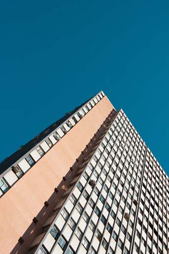 building architectural photography of white and pink building office building