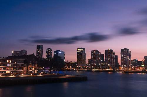 rotterdam body of water near high-rise buildings netherlands