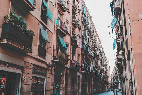 building brown concrete buildings street