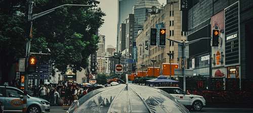 urban clear plastic umbrella near buildings automobile
