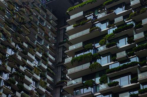 town close-up photography of high-rise building during daytime high rise
