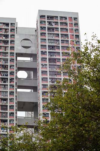 building gray and red concrete building near green tree high rise