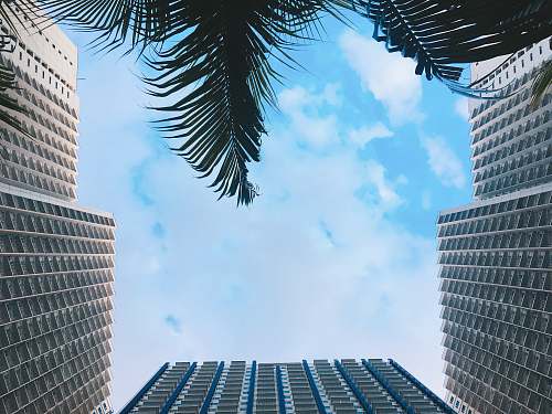 building gray buildings high rise