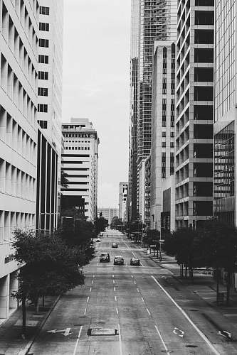 black-and-white grayscale photo of vehicles on road and buildings urban