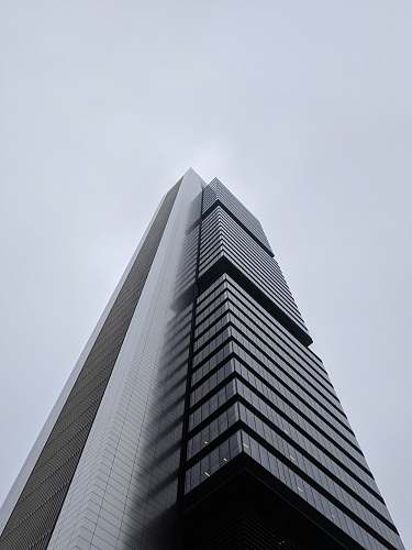 building greyscale photography of curtain building high rise