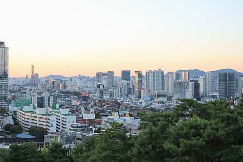 urban high-angle photography of city near trees town