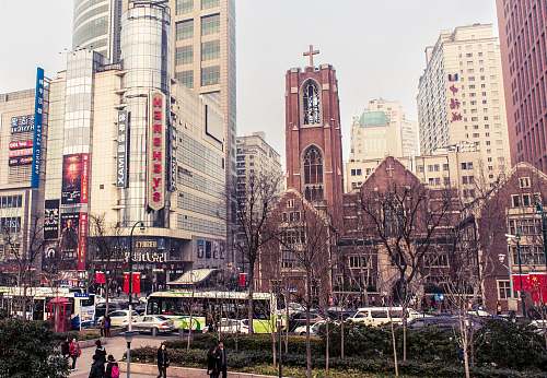 building leafless trees downtown