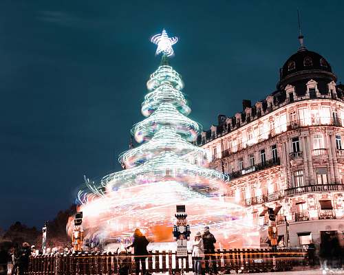urban lighted Christmas tree beside lighted building at night town