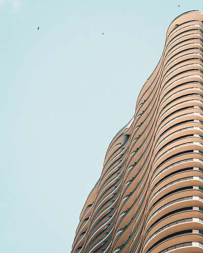 urban low-angle brown building high rise