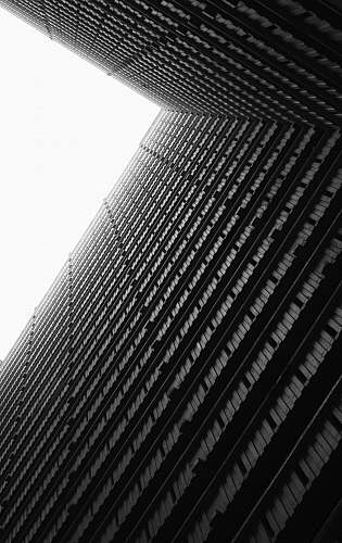 building low-angle grayscale photography of high-rise building black-and-white