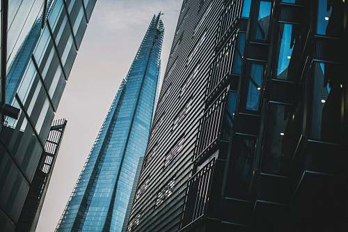 building low-angle photography of curtain wall building office building